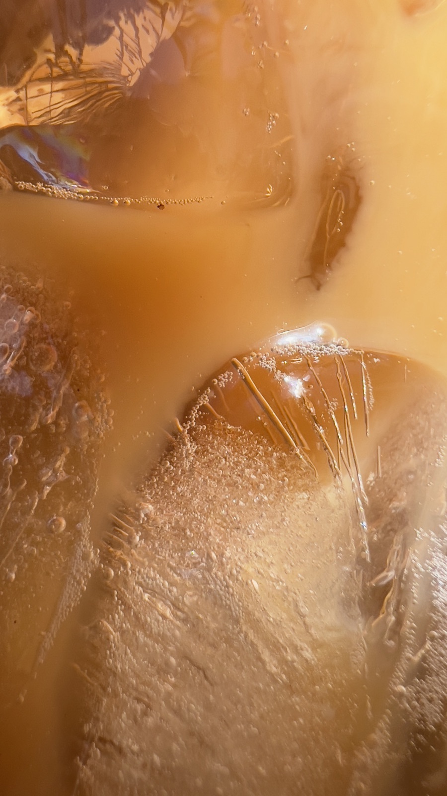 An iPhone macro photograph captured within a couple of centimetres of the subject, showing fine detail in sharp focus